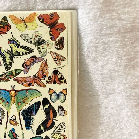 Madame Treacle Lot 3 Blank Greeting Cards Butterflies Print Vintage Collection - Picture 6 of 9